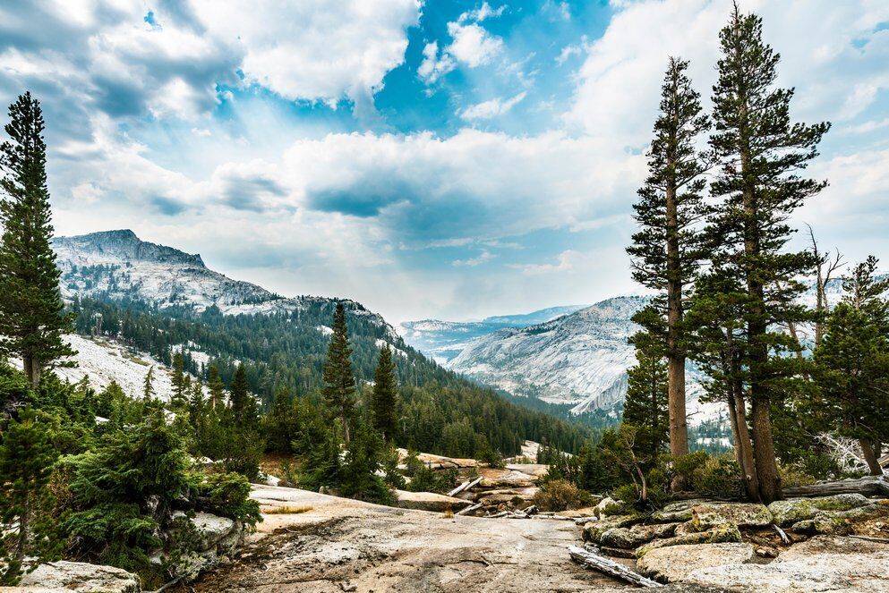 13. California